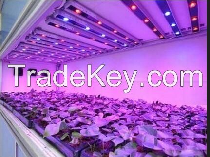 Alibaba Express Factory Promotion Led Grow Lights For Agriculture Plants UFO 50W LED Grow Light