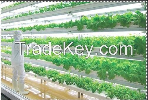 LED Grow light Made in China used greenhouse/plant factory