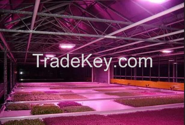 Alibaba Express Factory Promotion Led Grow Lights For Agriculture Plants UFO 50W LED Grow Light