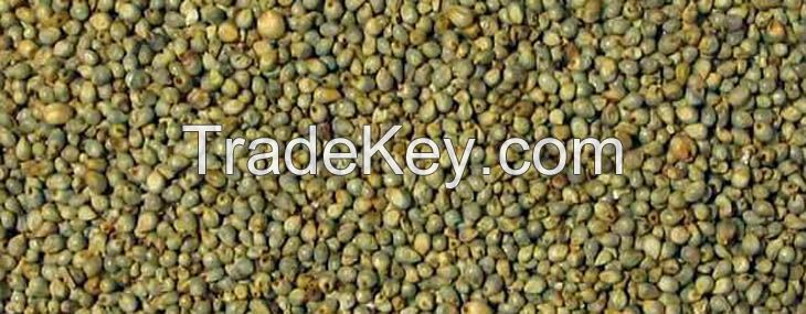 Millet Seeds