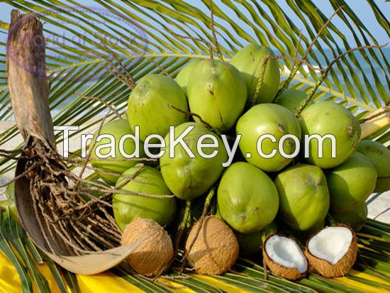 green coconut, tender coconut,copra coconut,coir,pith,rice,sugar, green vegetables