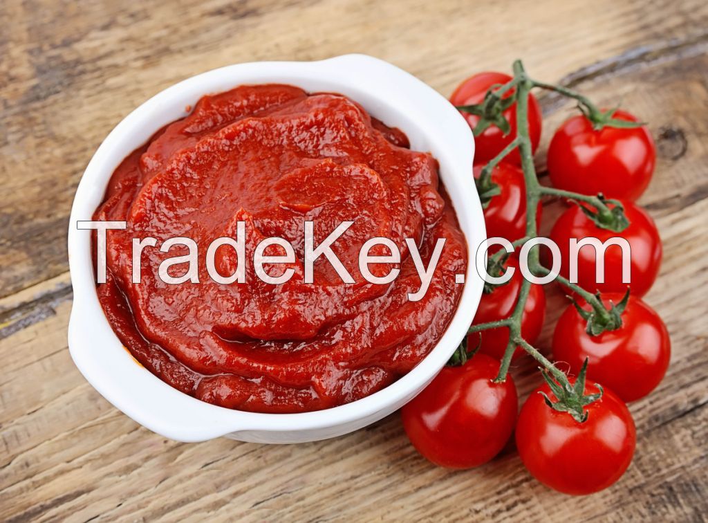 Canned Tomato Paste