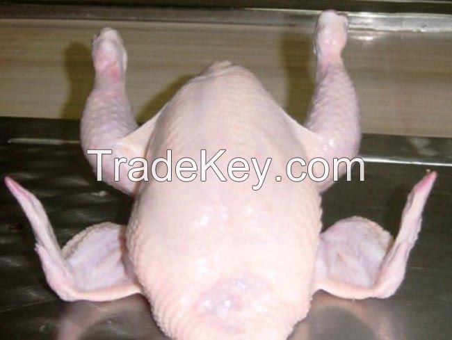 halal frozen chicken