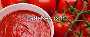 Canned Tomato Paste