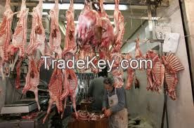 Halal Sheep and Lamb Carcass Frozen/Chilled