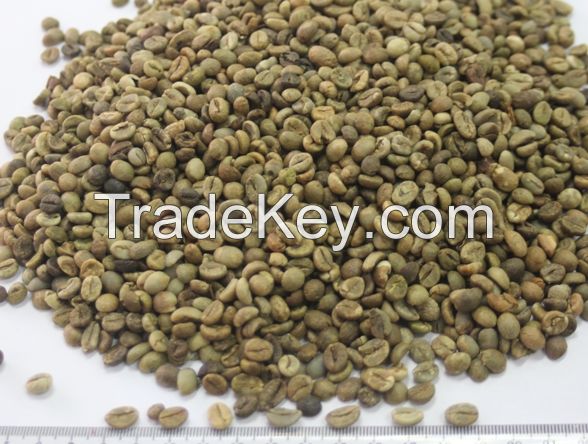 VIETNAM BULK GREEN ROBUSTA COFFEE FOR SALE