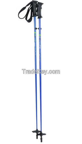 Cross Country Ski Pole