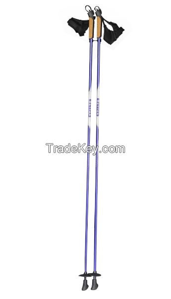Carbon Fiber Ski Pole