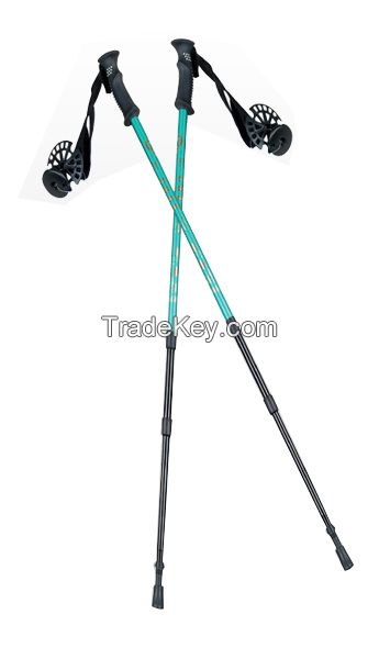 Carbon Fiber Ski Pole 