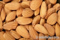 Best ALMOND NUTS