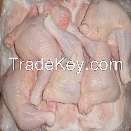 Halal Frozen Chicken