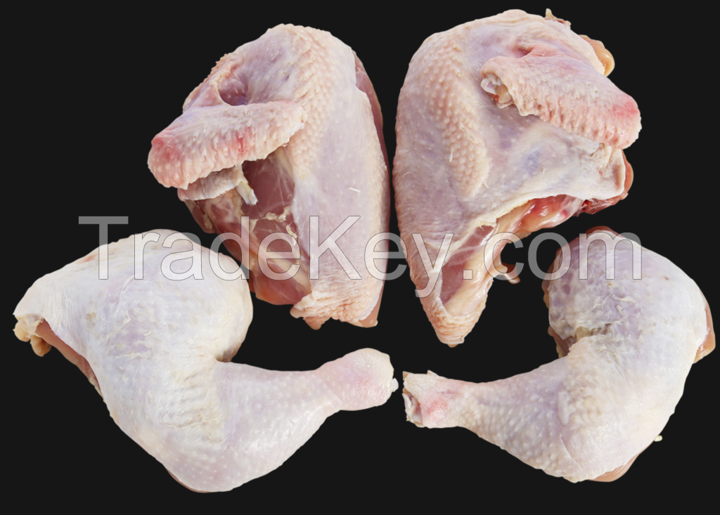 Halal Frozen Chicken