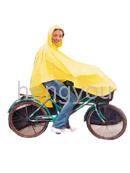 Raincoat- Phocho