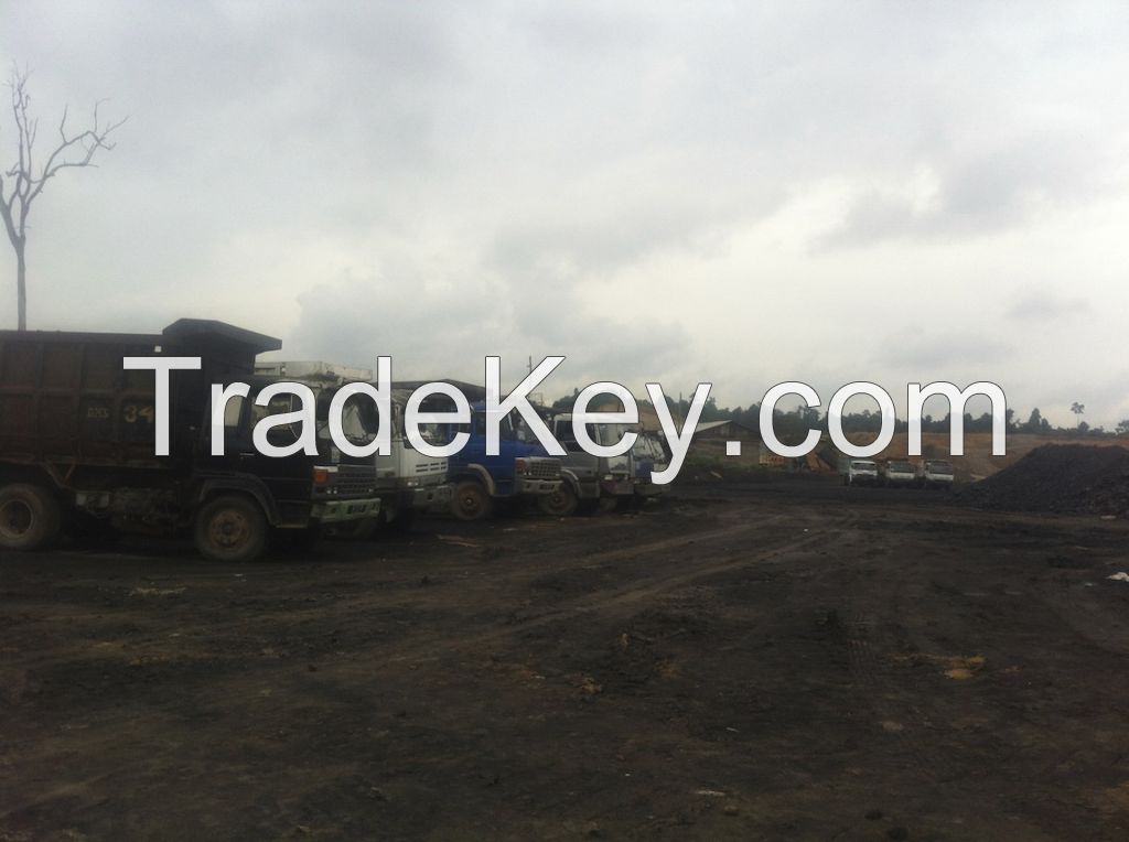INDONESIAN STEAM COAL (Real Producer)