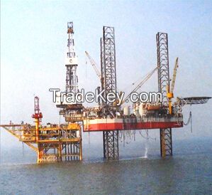 Oceanic high-pressure oil-conveying rubber hose