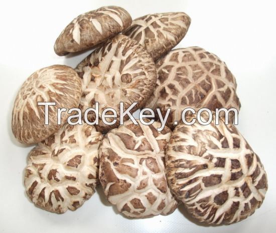 Dried Shiitake Mushrooms