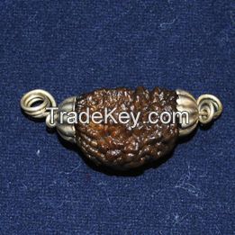 One Face Rudraksha