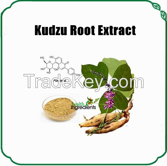 natural and high quality health care kudzu root extract  powder puerarin isoflavones 