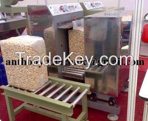 CASHEW NUT KERNEL WW320