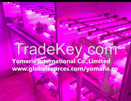 T8 led grow light 20W/1.2m T8, full spectrum horticultural