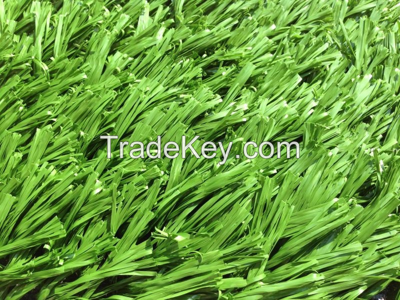 Artificial Grass