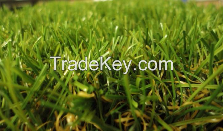 Artificial Grass