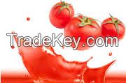 TOMATO PASTE