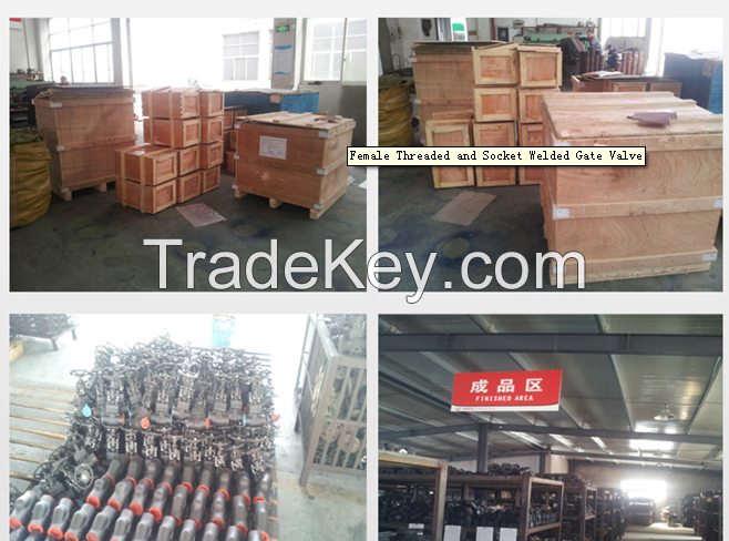 Small Forged socket welding and Female Threaded  Gate Valve