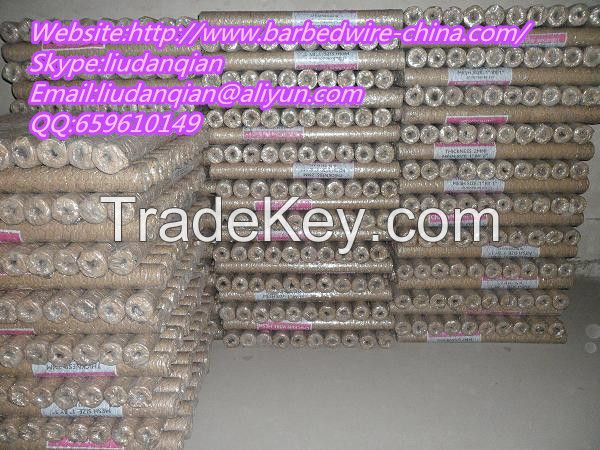 Hexagonal Wire Mesh