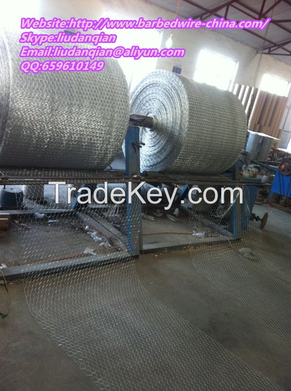 Hexagonal Wire Mesh