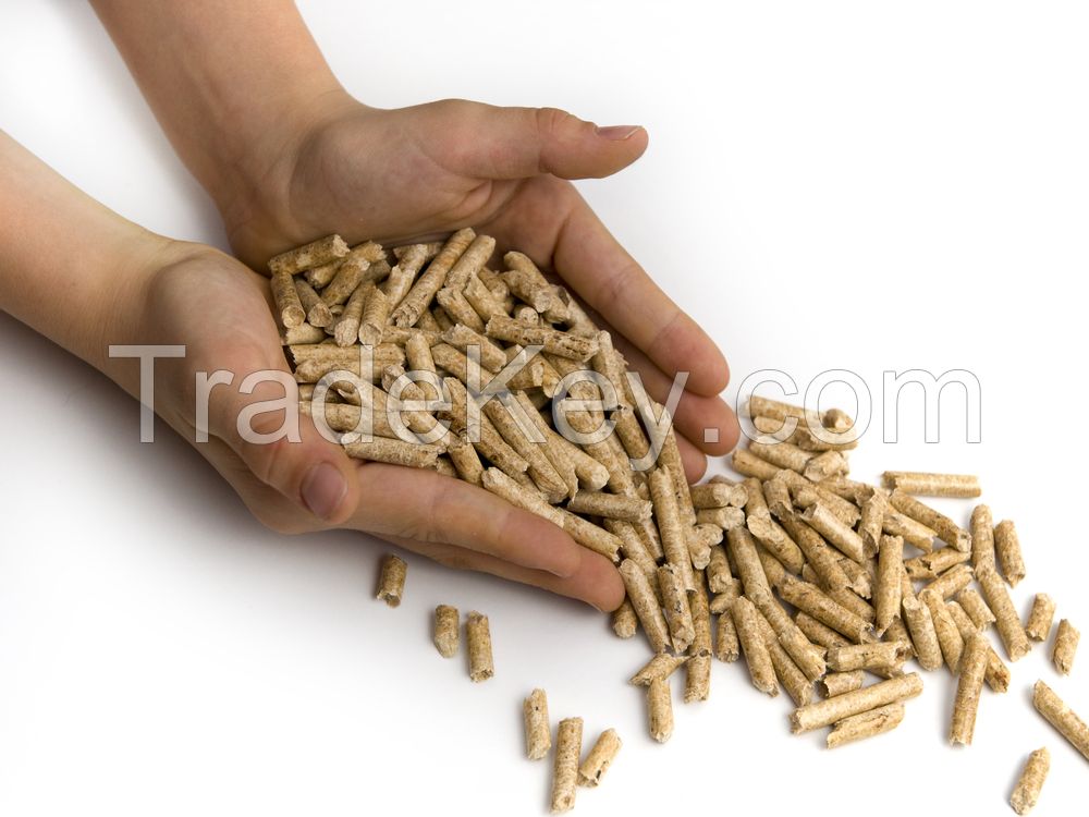 Russia Grade A Quality Wood Pellets 