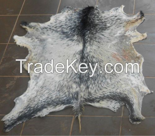 Dry and Wet Salted Cow and Sheep Skin, Wet salted Donkey / Cow Skin and Cow Hides and Other Animal Skin Avalaible