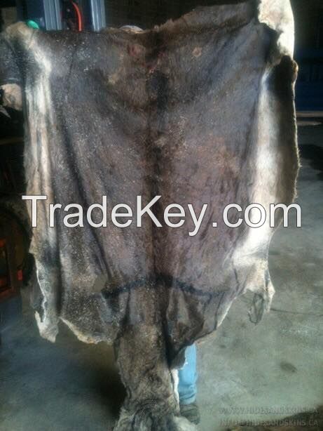 Dry and Wet Salted Cow and Sheep Skin, Wet salted Donkey / Cow Skin and Cow Hides and Other Animal Skin Avalaible