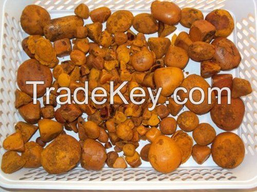 Grade A Cheap Price Cow Gall Stones / Ox Gallstones for Sale