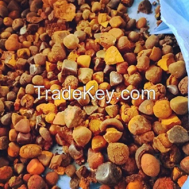 Grade A Cheap Price Cow Gall Stones / Ox Gallstones for Sale