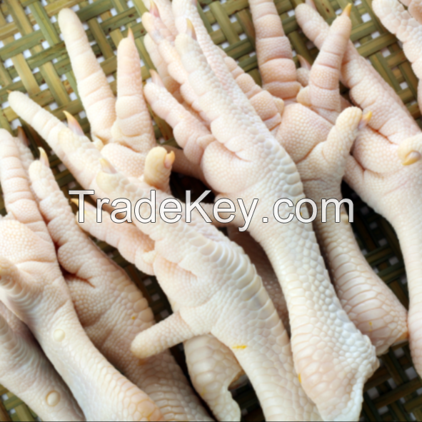 BEST QUALITY FROZEN CHICKEN FEET  AVAILABLE