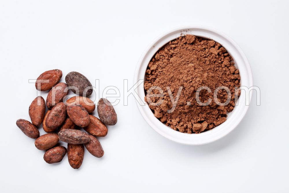 Instant Hot Chocolate Powder In Stock 