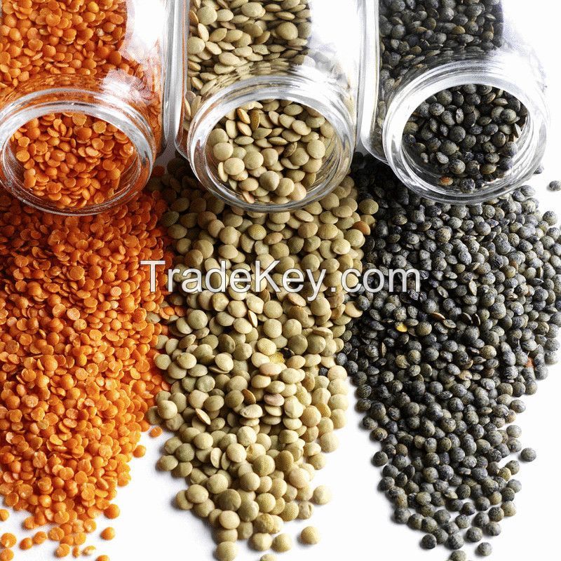 Top Grade-A Green chipped brownish yellow And Pure organic lentils