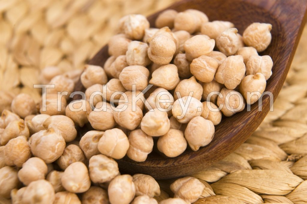 New Crop production Chickpeas 7mm 8mm 9mm 10mm 11mm 12mm Chickpeas Garbanzos