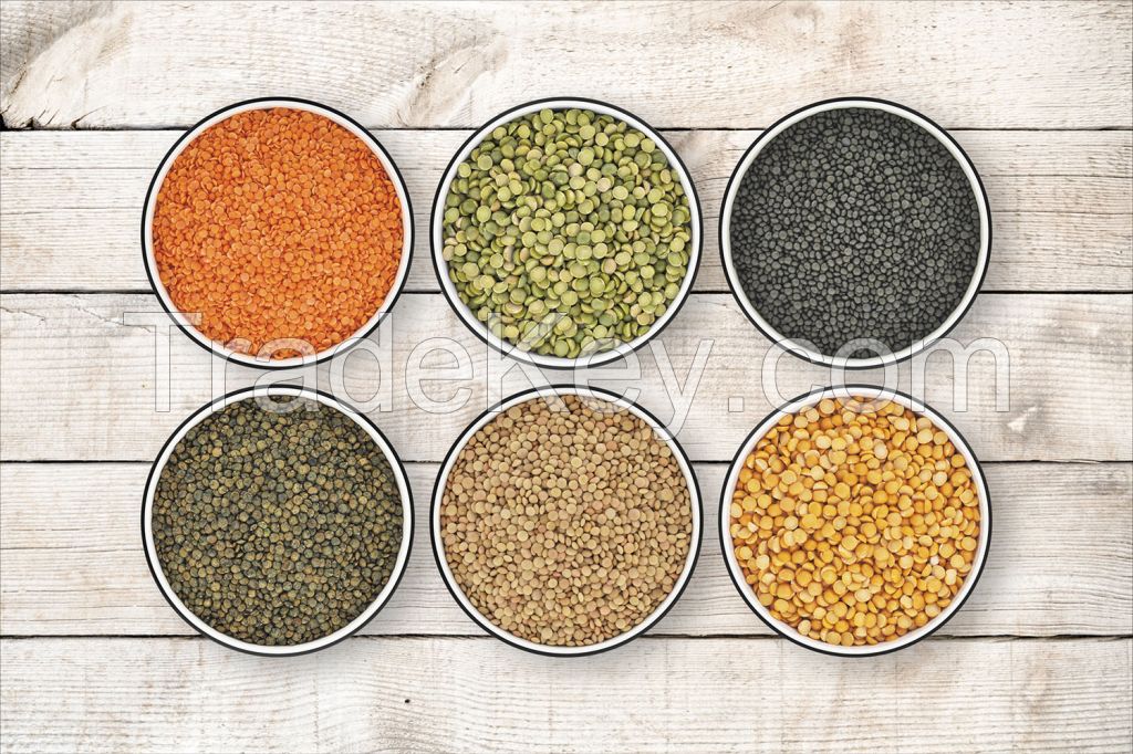 Pure Organic Lentils Green Chipped Brownish Yellow By JSC SUEK Russia