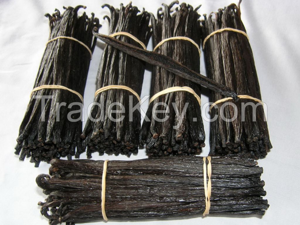 Best Quality Madagascar Premium Dried Black Vanilla Beans On SALES