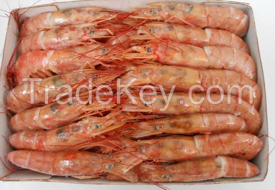 Argentine Frozen Crystal Red Shrimp/ Frozen Black Tiger Shrimp at PERFECT QUALITY