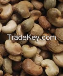 Raw Cashew Nuts in Shell