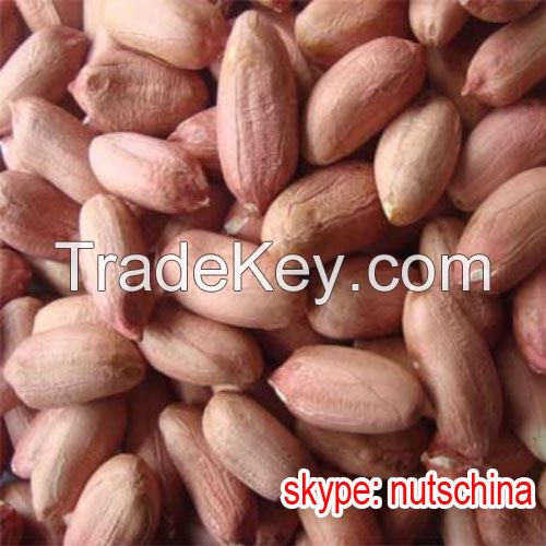 blanched peanuts 