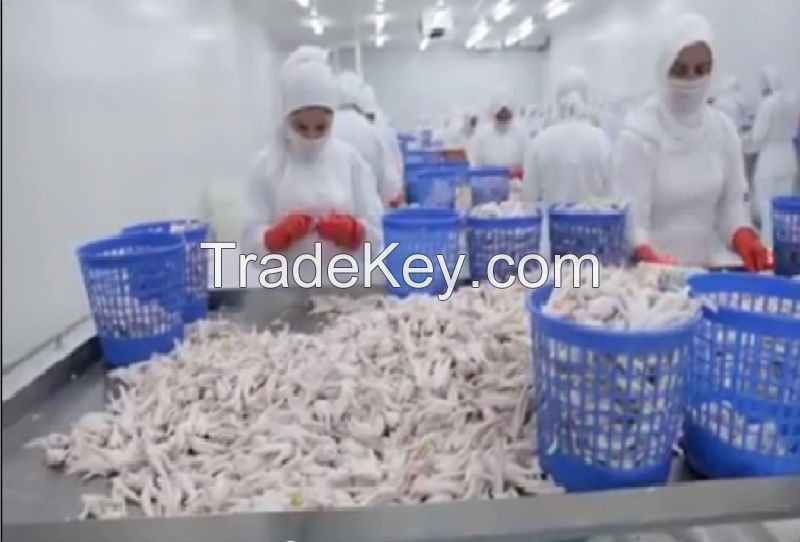 Frozen Chicken Feet 