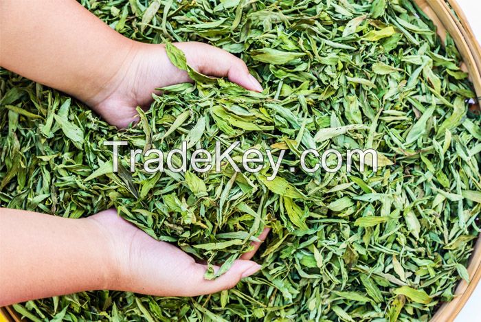 Zindagi Stevia Dry Leaves