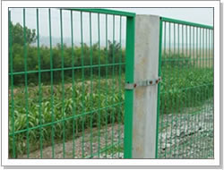 Fencing Wire Mesh