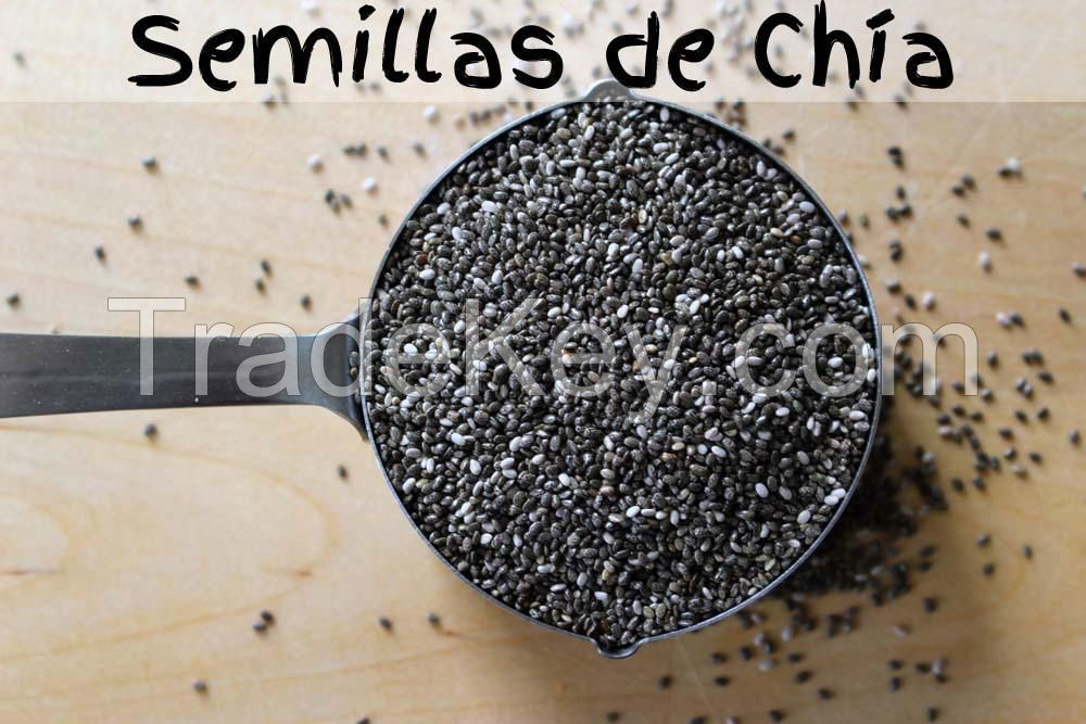 chia seeds  (Salvia hispanica ) peruvian
