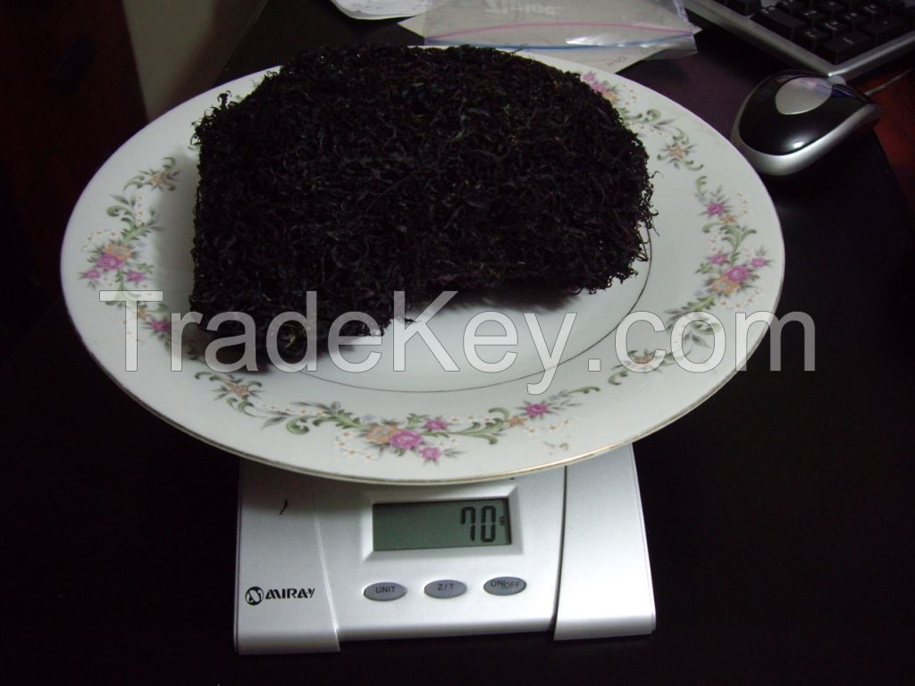 seaweed Gigartina chamissoi Dried