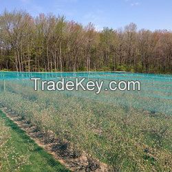 Overhead Crop Netting